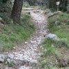 IMG_1086.jpg