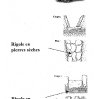 shema-rigole1.jpg