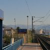 IMG_1093.jpg
