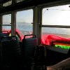 IMG_1097.jpg