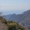 IMG_1170.jpg