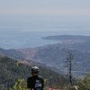 IMG_1236.jpg