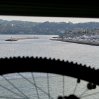 IMG_1263.jpg