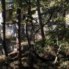 On contourne la première maison forestière, en très bon état