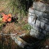 Fontaine au robinet fermé au-dessus de la maison forestière