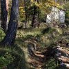 Le sentier est aménagé de murets à l'approche de la deuxième maison forestière