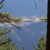 Panorama à travers les pins