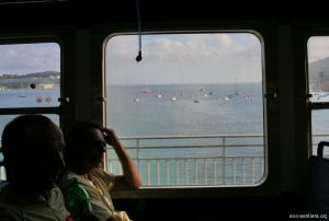IMG_1265.jpg
