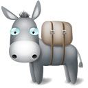 donkey.jpg