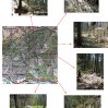 projet-rehabilitation-sentier-des-palutes.jpg