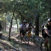 IMG_1345