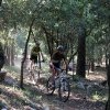 IMG_1347