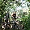 IMG_1444