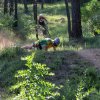 IMG_6217